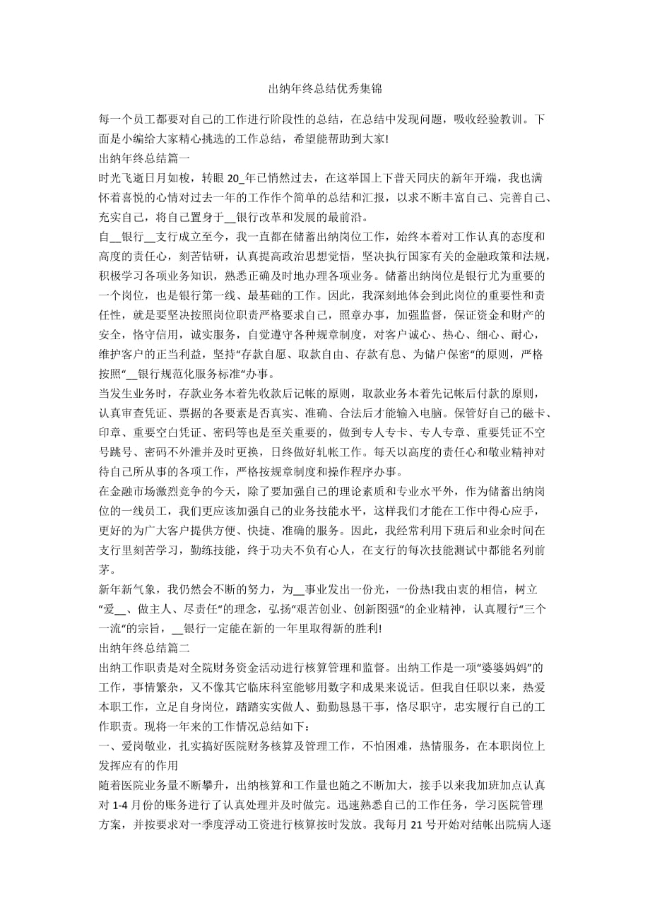 出纳年终总结优秀集锦_第1页