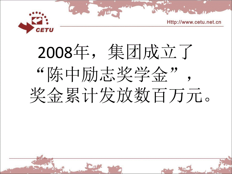 晨钟(陈中)教育集团运营策略课件_第4页