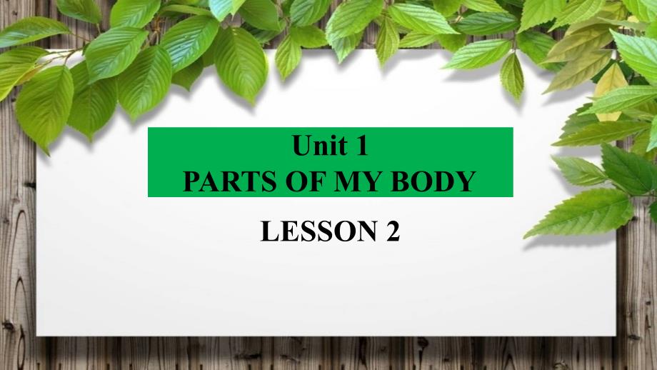 清华版一年级上册英语UNIT 1 PARTS OF MY BODY LESSON 2课件_第1页