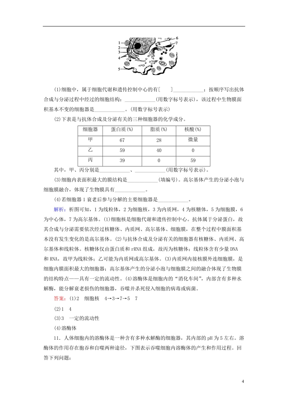 高考生物大一轮复习 第二章 细胞的结构和物质运输功能 第2讲 细胞器-系统内的分工与合作课时规范训练_第4页