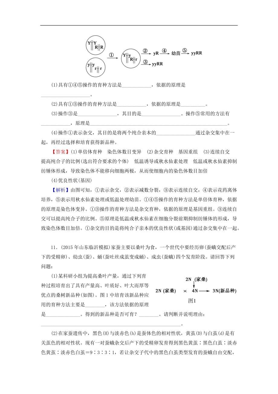 高考生物大一轮复习 第3单元 生物的变异、育种和进化 第3讲 从杂交育种到基因工程课时作业（必修2）_第5页