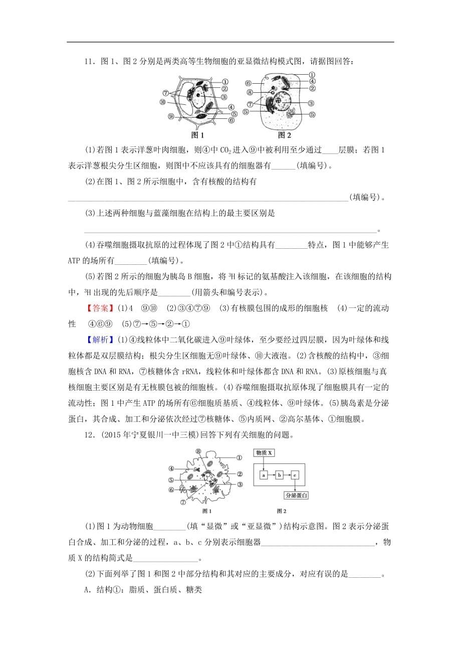 高考生物大一轮复习 第2单元 细胞的结构与物质的输入和输出 第2讲课时作业（必修1）_第5页