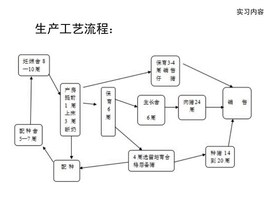 畜牧兽医实习报告课件_第5页