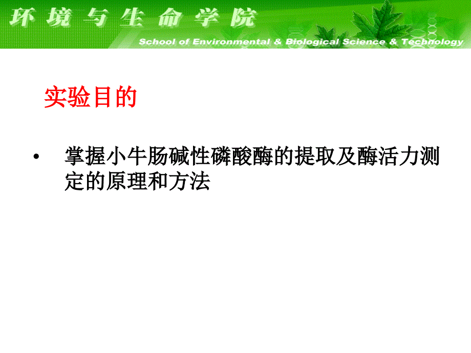 生物化学实验课件生物化学实验_第2页