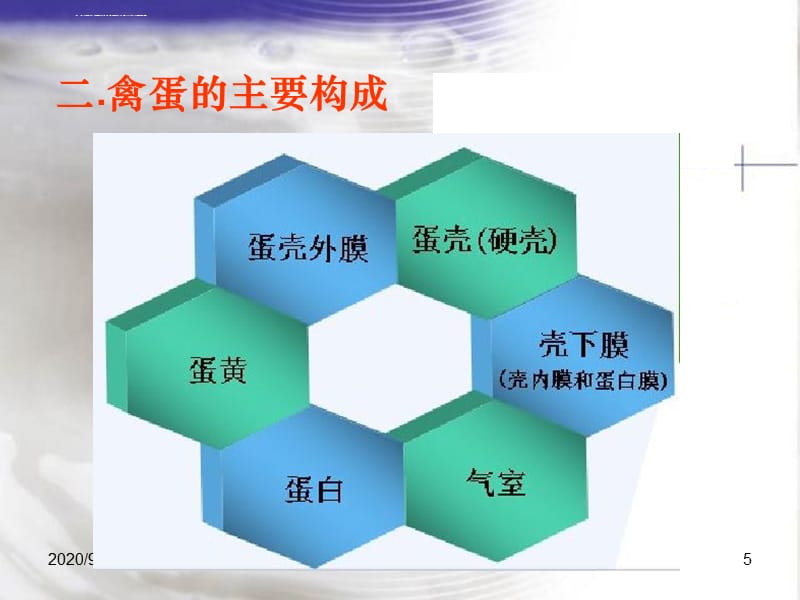 第一章蛋品原料学课件_第5页