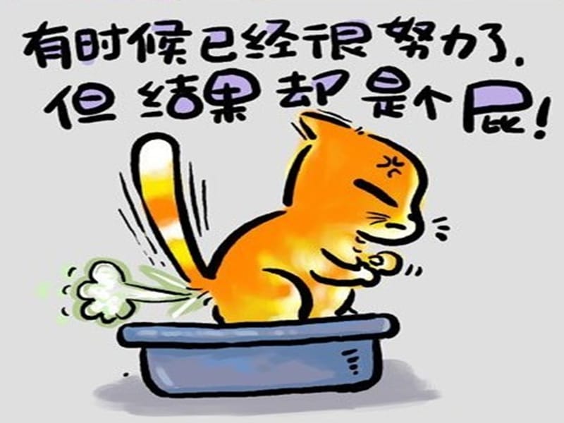 猫猫的年终总结课件_第1页