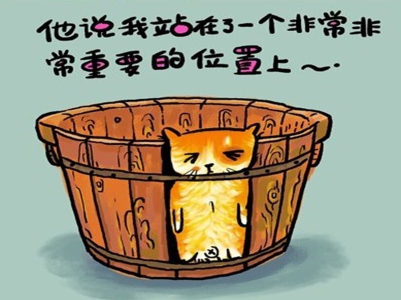 猫猫的年终总结课件_第2页