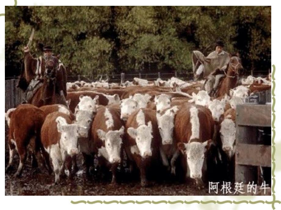 第三节以畜牧业为主的地域类型课件_第4页