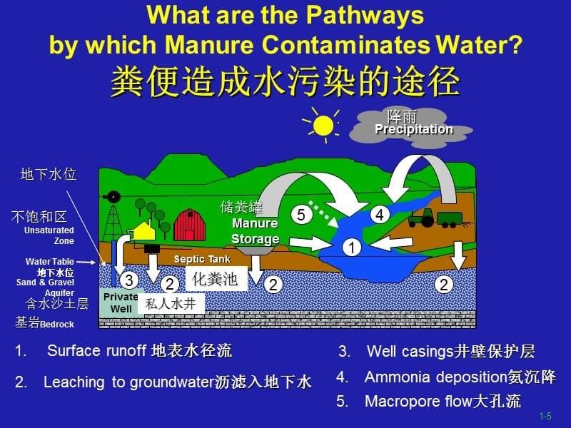 猪场的粪便和臭气管理系统课件_第5页