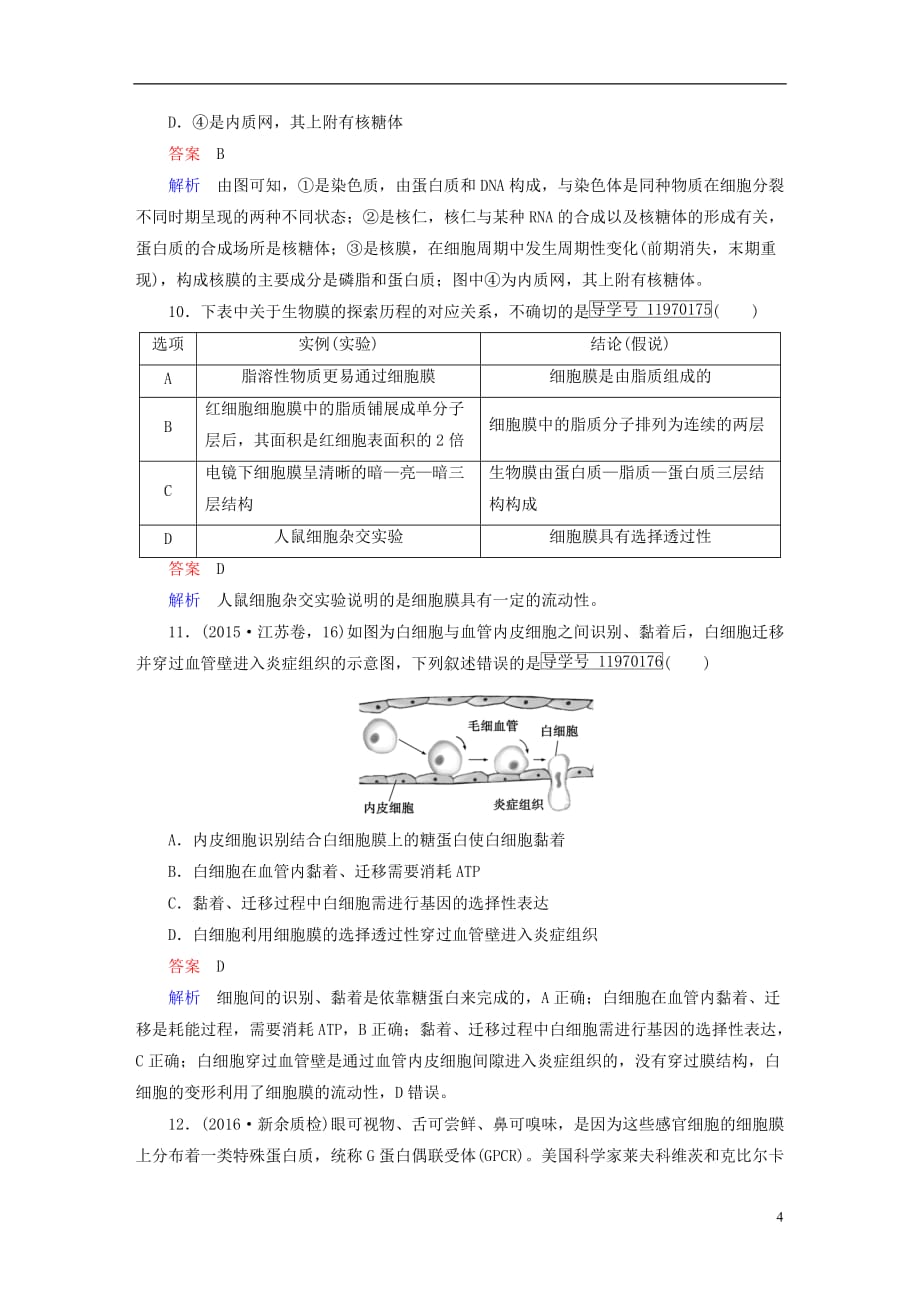 高考生物一轮复习 第2单元 细胞的基本结构与物质输入和输出 第1讲 细胞膜与细胞核（含生物膜的流动镶嵌模型）课时作业 新人教版必修1_第4页