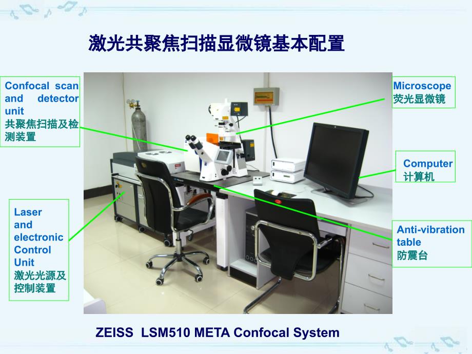 激光扫描共聚焦显微镜技术及应用课件_第3页