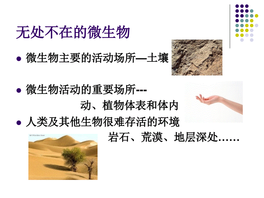 生活中的微生物课件_第4页