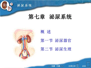 畜禽解剖生理7泌尿生理课件
