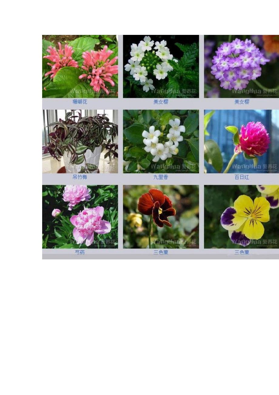 1166编号世界上最全的花种类_第4页