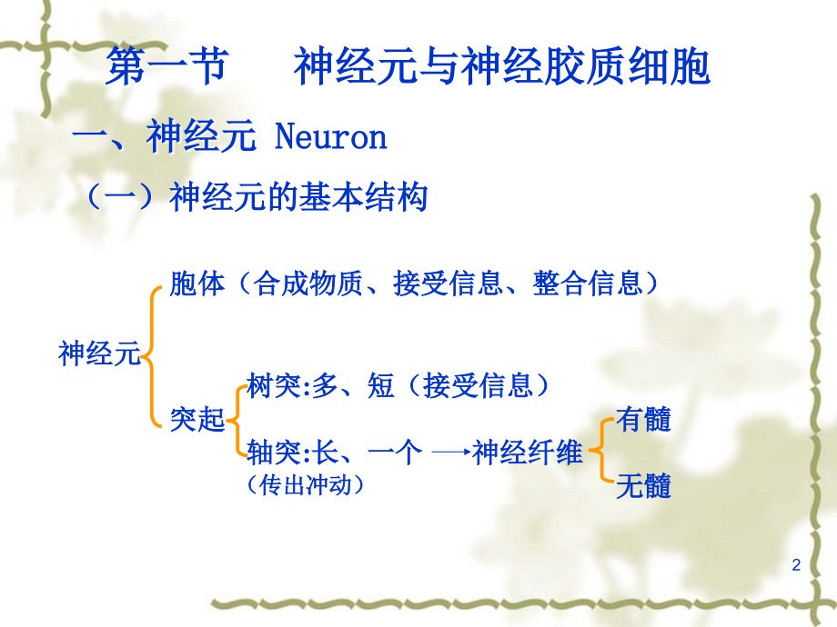 生理学第十章神经系统ppt课件_第2页