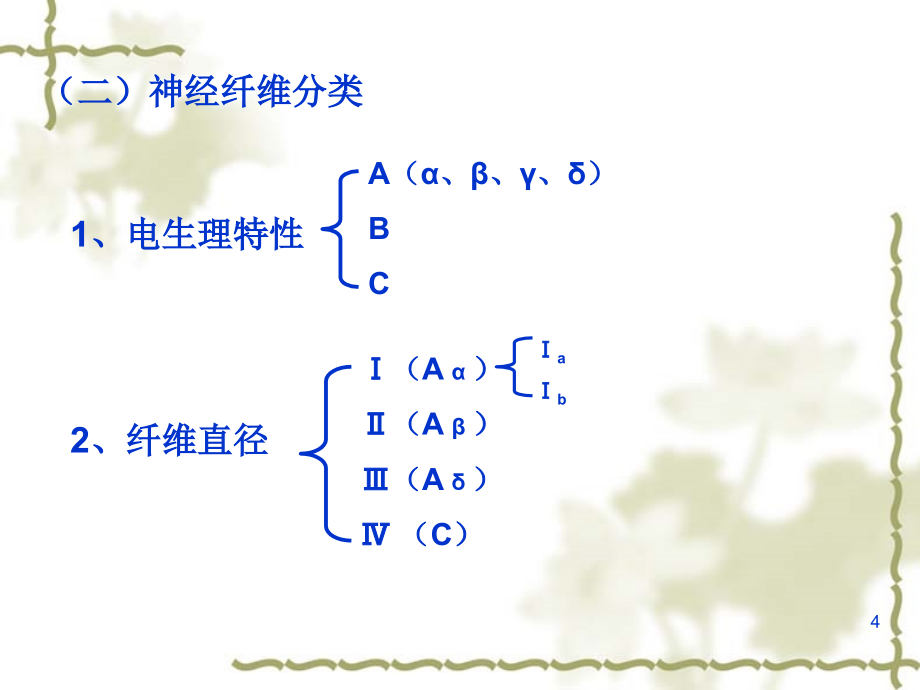 生理学第十章神经系统ppt课件_第4页