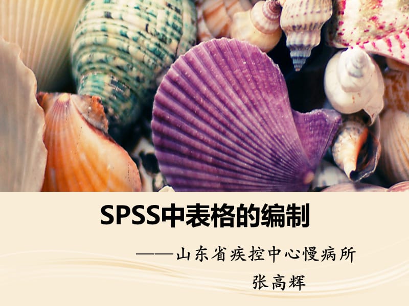 SPSS中表格的编制._第1页