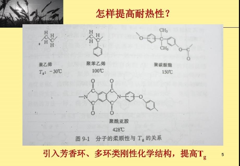 新型高分子材料第二章——高性能高分子课件_第5页