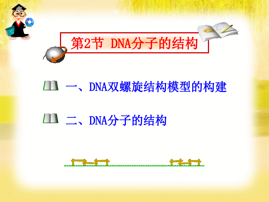 生物必修2：第2节-DNA分子的结构(人教版)课件_第3页