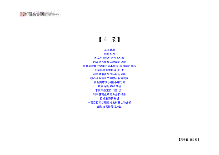 安徽利辛县综合购物中心项目现状市调分析报告_第2页