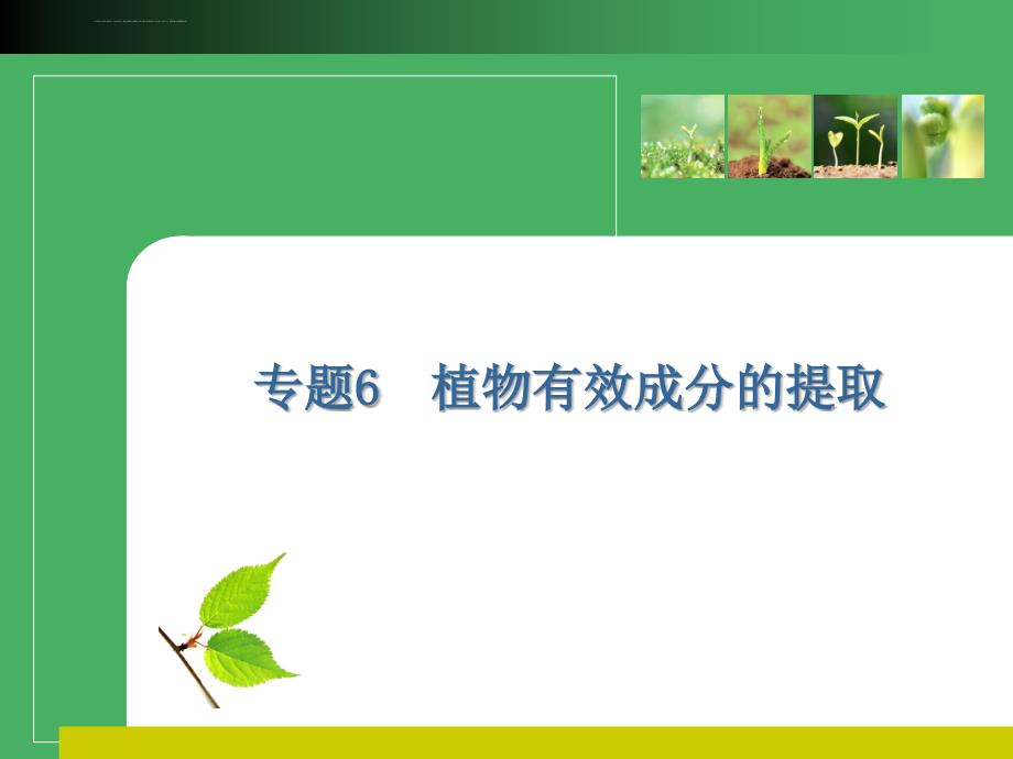 生物人教版高中选修1-生物技术实践选修1专题6《植物有效成分的提取》复习课件_第1页