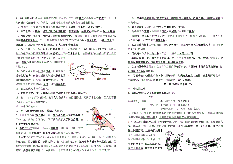 人教版 八年级 生物 上册 知识点归纳 完美版._第2页