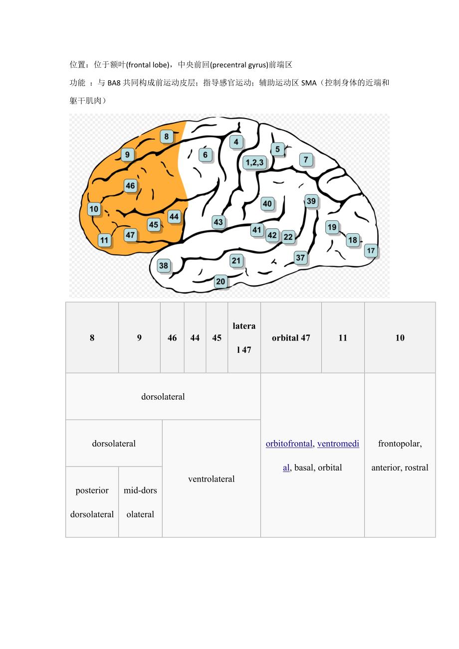 大脑的解剖结构和功能——布鲁德曼分区._第2页