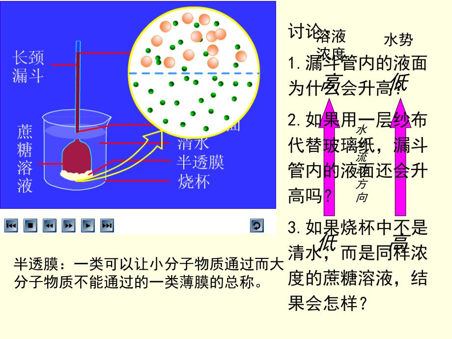 395编号高一生物_物质跨膜运输的实例_ppt_第3页