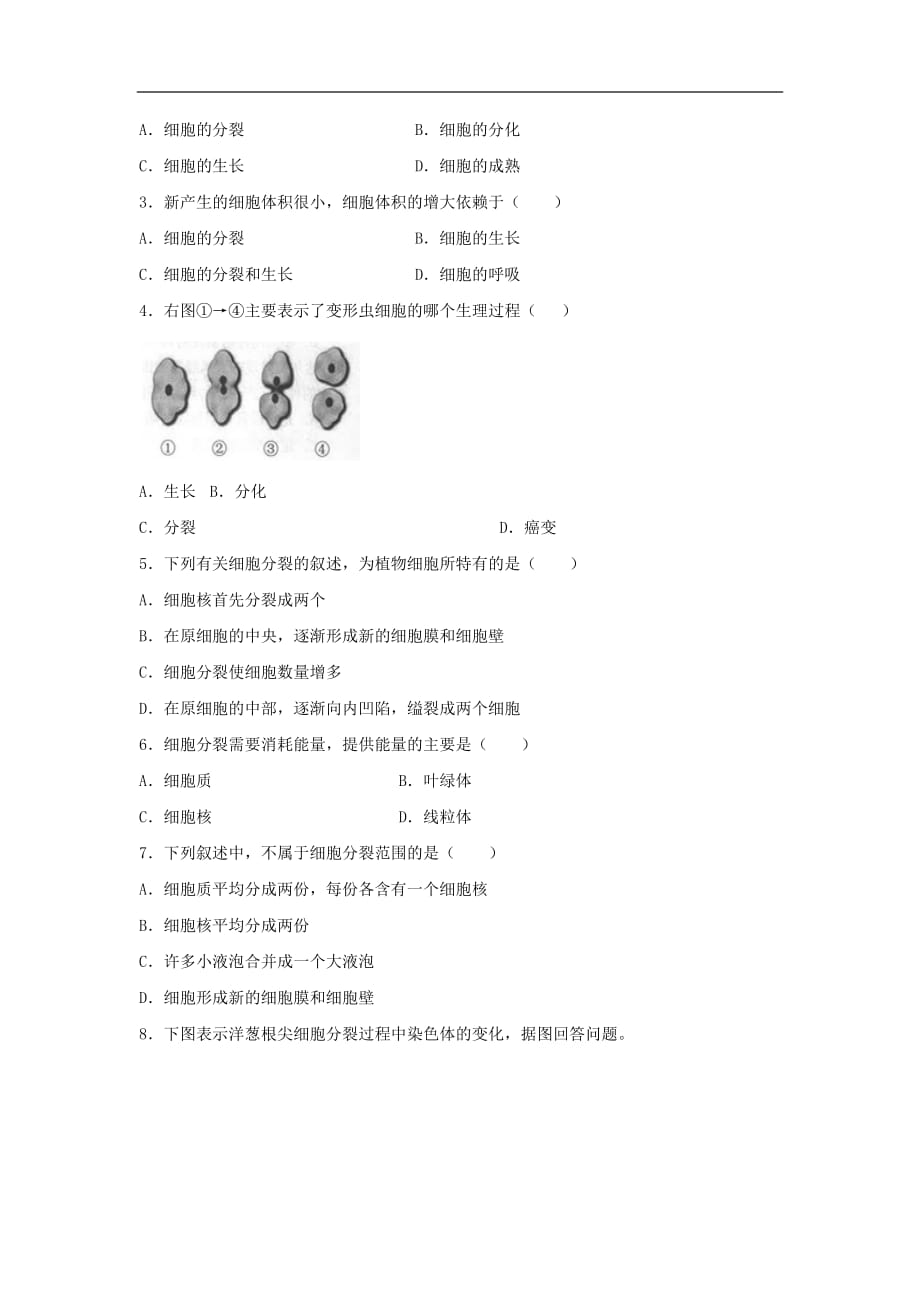 七年级生物上册 2.2.1《细胞通过分裂产生新细胞》练习1 （新版）新人教版_第3页