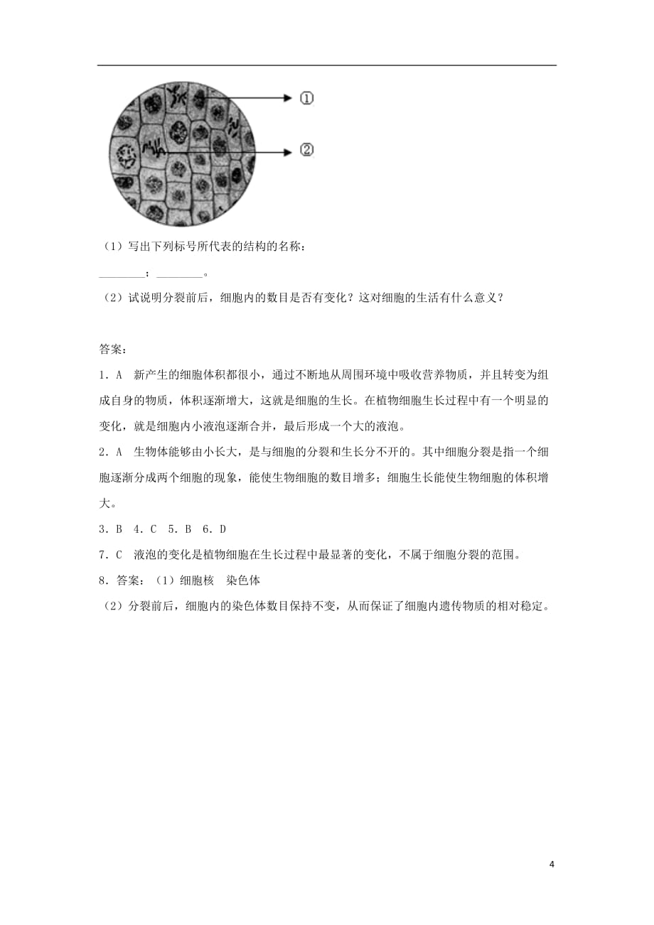 七年级生物上册 2.2.1《细胞通过分裂产生新细胞》练习1 （新版）新人教版_第4页