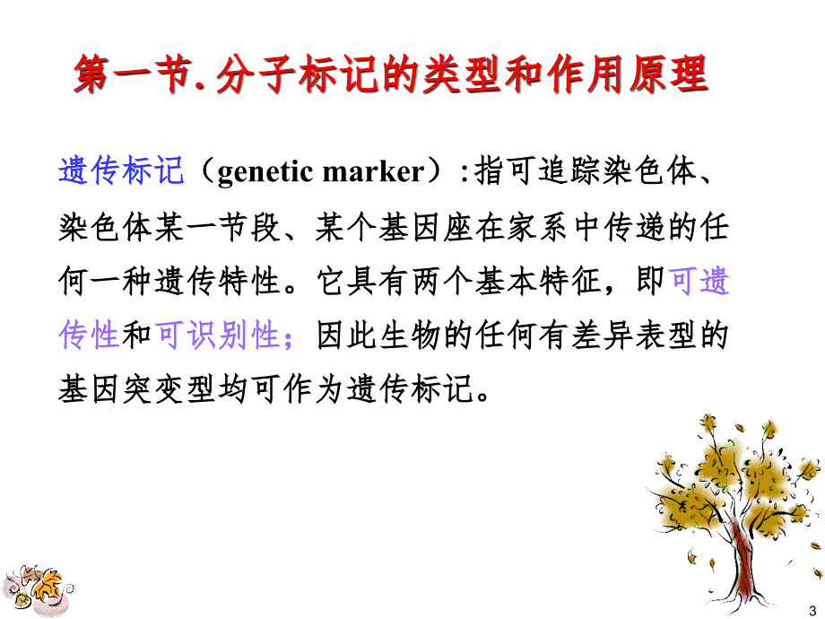 作物育种学总论-第十四章-分子标记辅助选择育种PPT演示课件_第3页