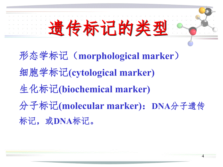 作物育种学总论-第十四章-分子标记辅助选择育种PPT演示课件_第4页