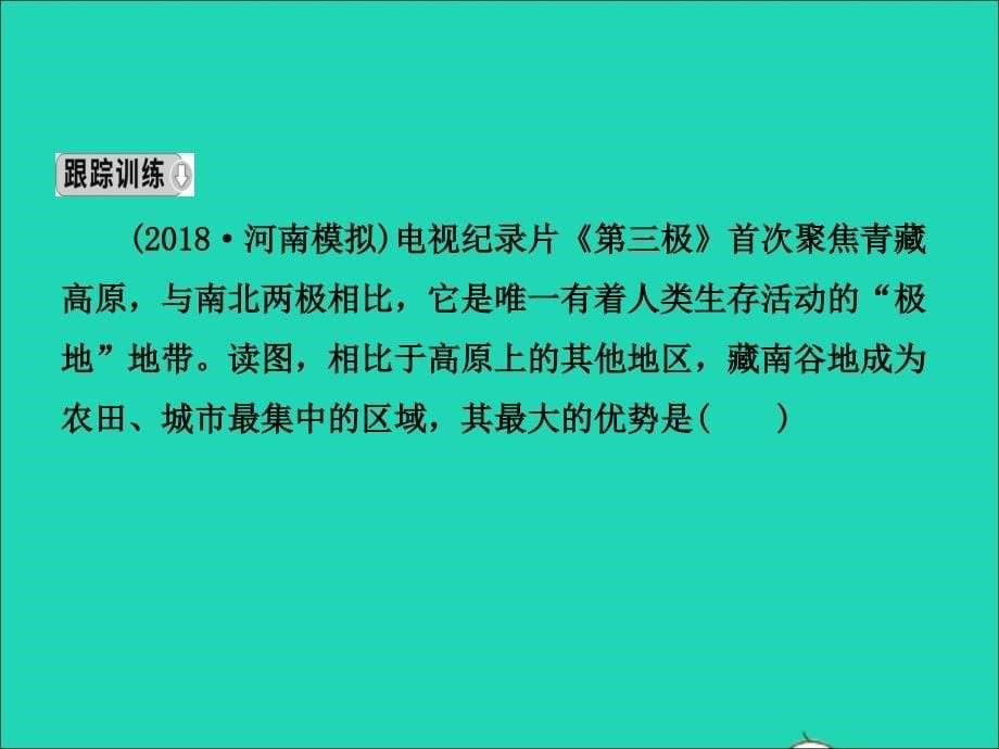 （人教版通用）2019届中考地理复习八下第九十章课件.ppt_第5页