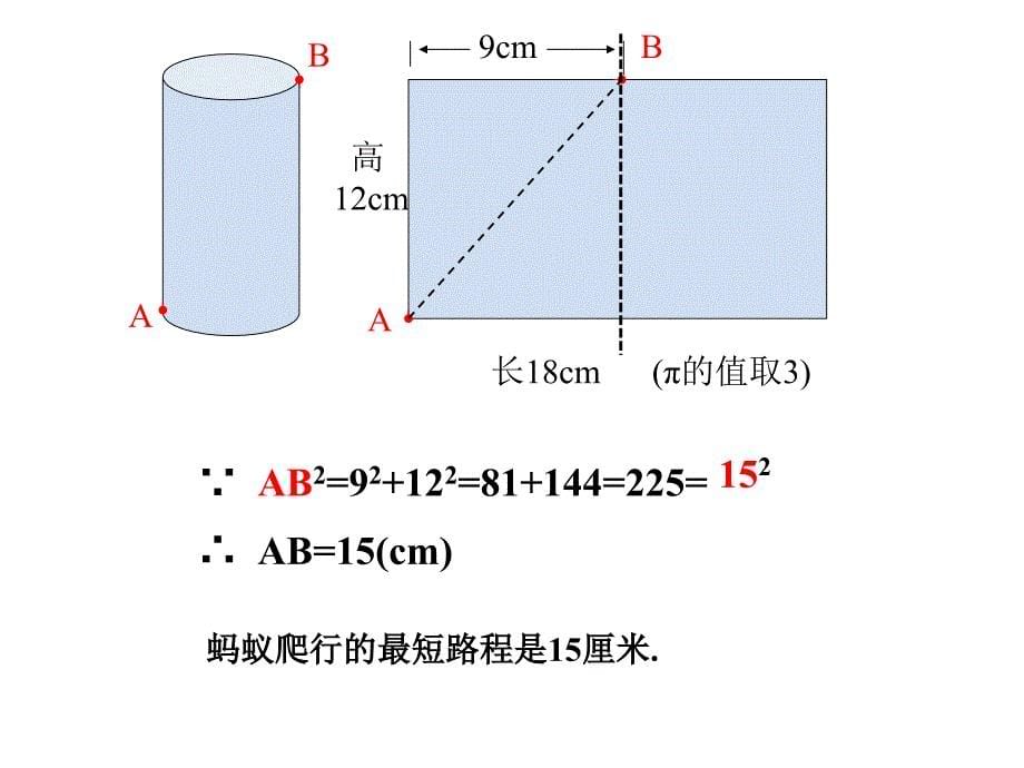 蚂蚁怎样走最近(圆柱)课件_第5页