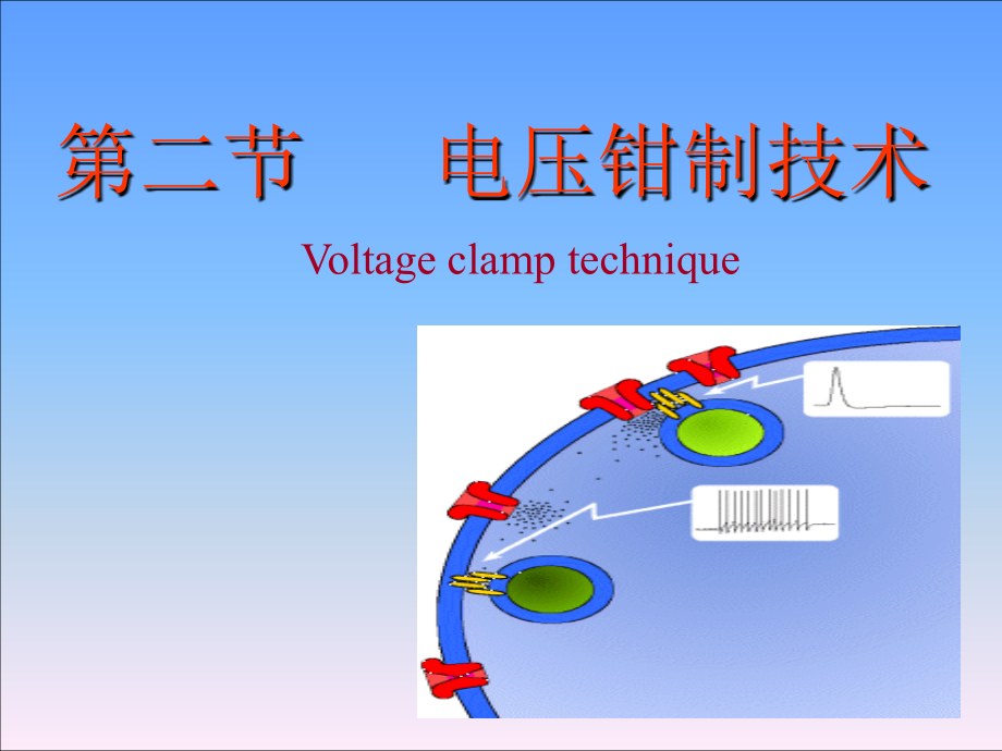 第二章2电压钳制和膜片钳制技术2012课件_第1页