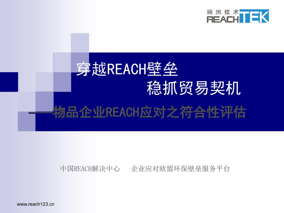 穿越REACH壁垒稳抓贸易契机_第1页