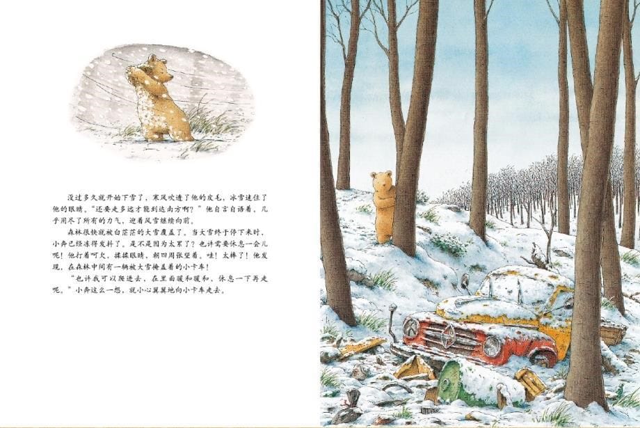 绘本故事小棕熊的梦_第5页