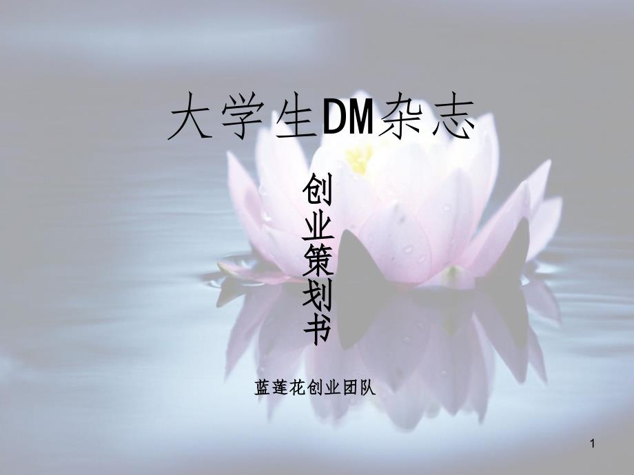 大学生DM杂志创业策划PPT课件_第1页