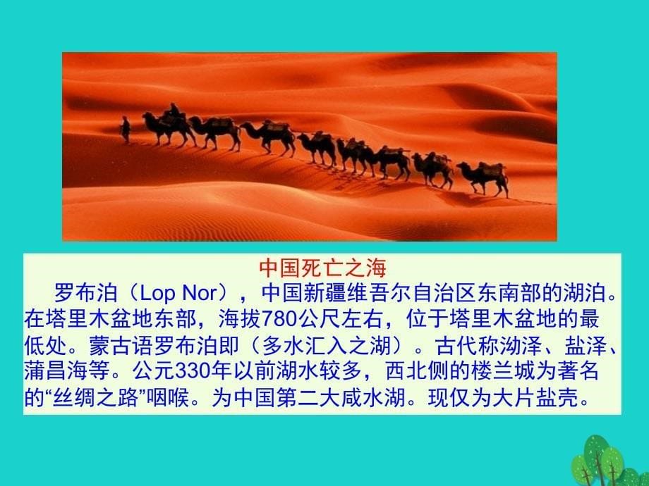 八年级地理下册 第八章 第二节 干旱的宝地 塔里木盆地（二 油气资源的开发）课件.ppt_第5页