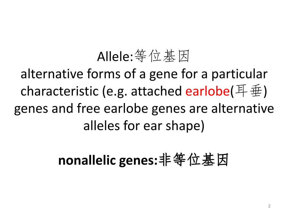 lesson-four-foundations-of-geneticsPPT演示课件_第2页