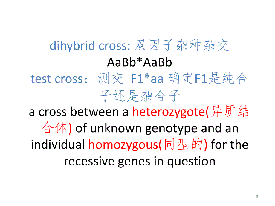 lesson-four-foundations-of-geneticsPPT演示课件_第3页