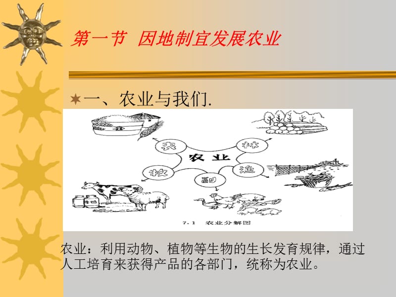 鲁教版七年级地理上册 因地制宜发展农业ppt.ppt_第4页