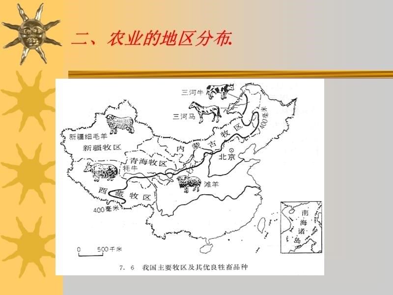 鲁教版七年级地理上册 因地制宜发展农业ppt.ppt_第5页