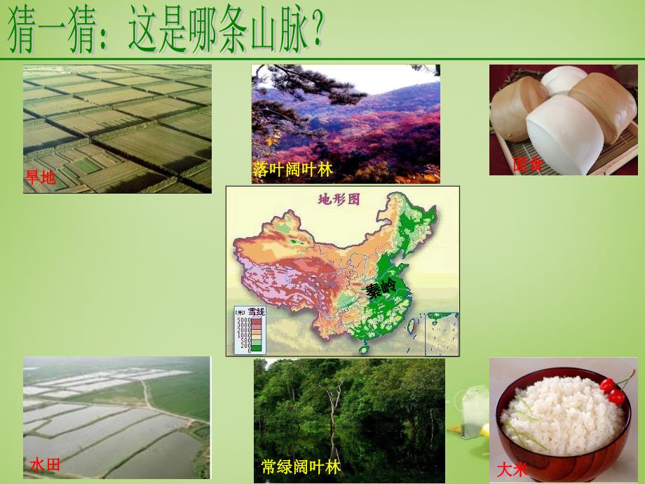 广东省深圳市文汇中学八年级地理下册《5.1四大地理区域的划分》课件（新版）湘教版.ppt_第4页