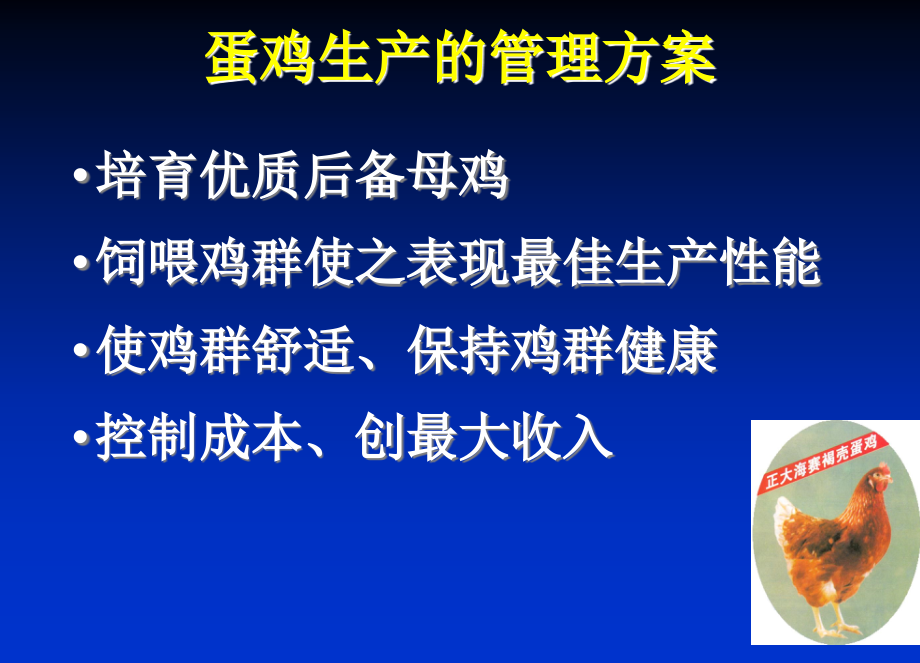 蛋鸡饲养管理技术课件_第2页