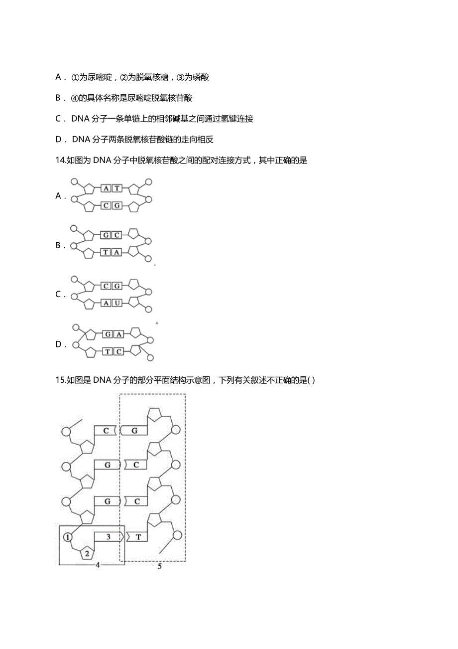 人教版高一生物必修二同步精选对点训练：DNA分子结构 ：脱氧核糖核苷酸、DNA分子的平面结构图的辨别（带解析）_第5页