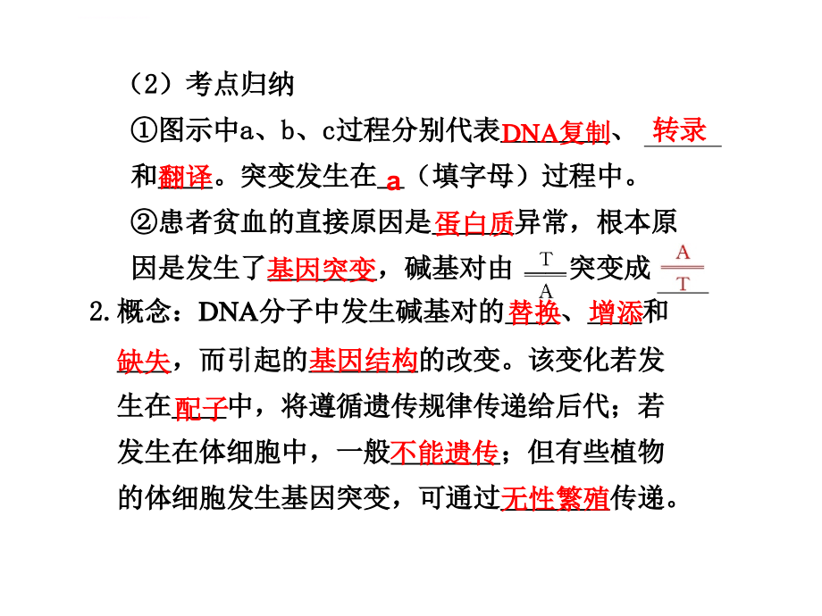 第23课时 基因突变和基因重组课件_第3页