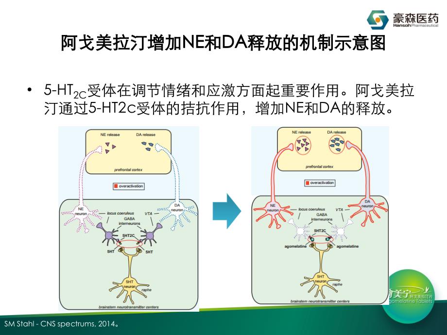 阿戈美拉汀的药理机制精品课件_第4页