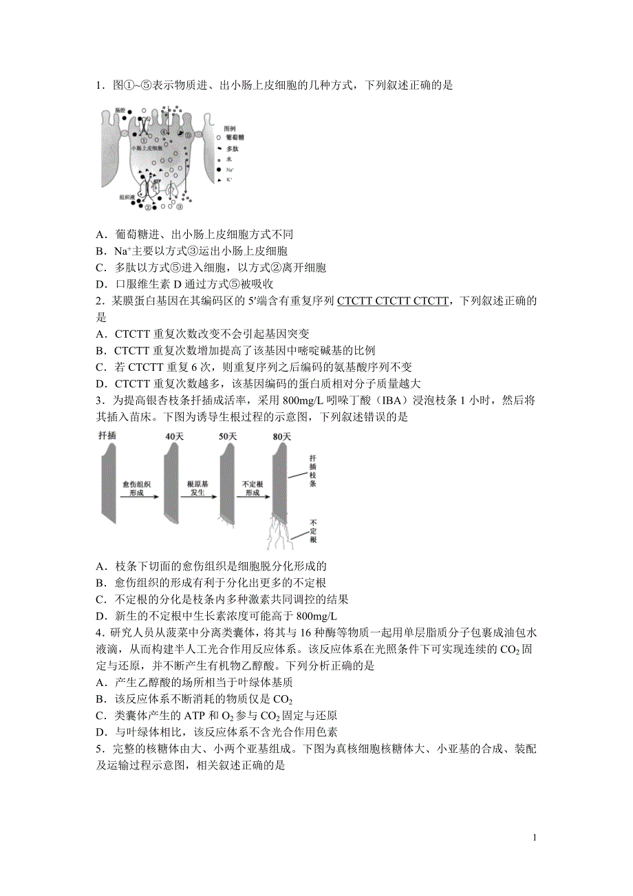 四川省2021届高三上学期开学考试理综-生物试题含有答案_第1页