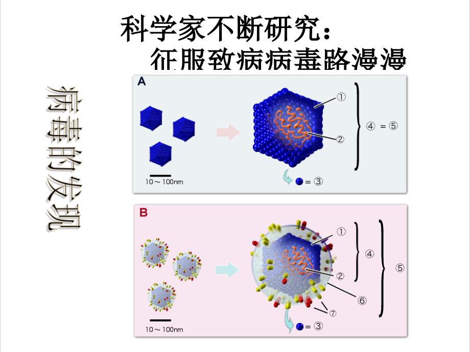 第2节nbsp生物科学的学习过程课件_第2页